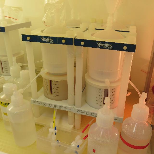 Radiogenic Isotope Facility School of the Environment University of